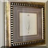 A17. Framed botanical print. 